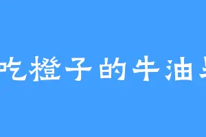 爱吃橙子的牛油果z