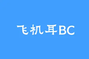 飞机耳BC