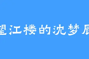 望江楼的沈梦辰