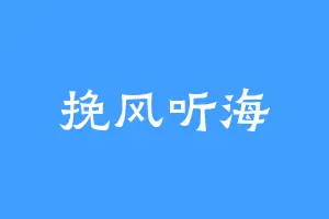挽风听海