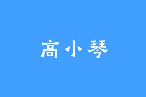 高小琴