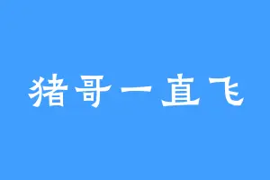猪哥一直飞