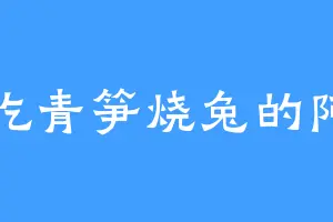 爱吃青笋烧兔的阿乐
