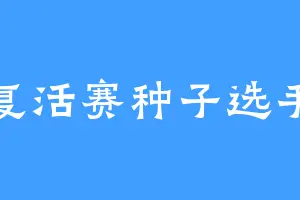 复活赛种子选手