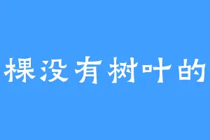 一棵没有树叶的树