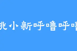 樱桃小新呼噜呼噜皮