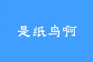 是纸鸟啊