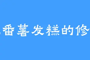 爱吃番薯发糕的修木天