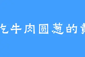 爱吃牛肉圆葱的黄眉