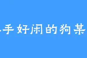 游手好闲的狗某人