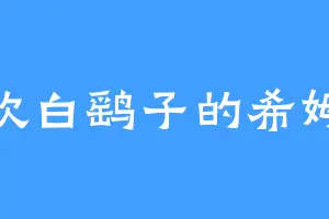 喜欢白鹞子的希姆莱