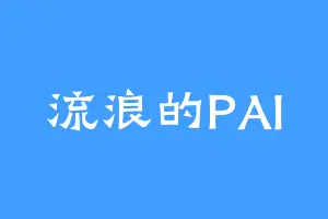 流浪的PAI