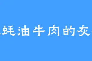 爱吃蚝油牛肉的灰袍人