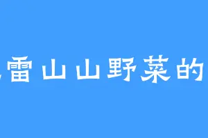 爱吃雷山山野菜的冰猿