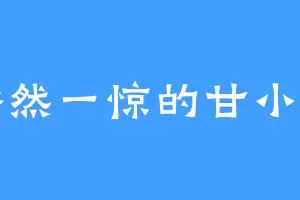豁然一惊的甘小宁