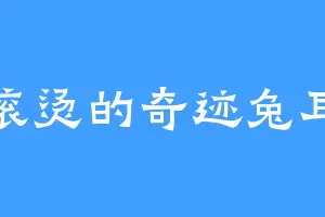 滚烫的奇迹兔耳