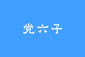 党六子