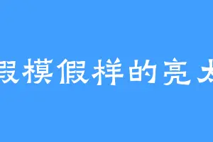 假模假样的亮太
