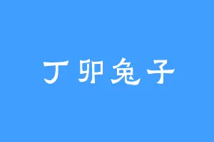 丁卯兔子