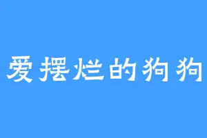 爱摆烂的狗狗