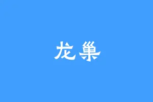 龙巢
