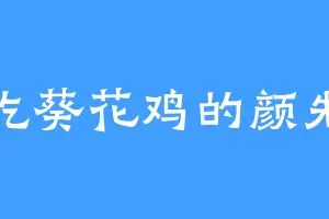 爱吃葵花鸡的颜先生