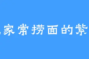 爱吃家常捞面的紫鬼仙