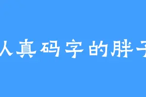 认真码字的胖子