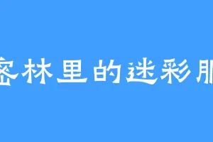 密林里的迷彩服