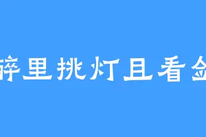 醉里挑灯且看剑
