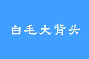 白毛大背头