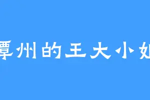 潭州的王大小姐