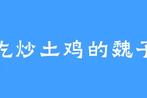 爱吃炒土鸡的魏子龙