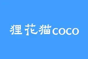 狸花猫coco