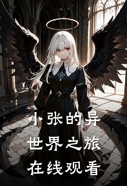 小张的异世界之旅在线观看