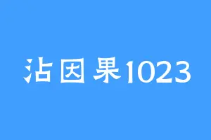 沾因果1023