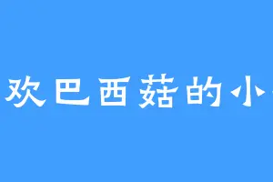 喜欢巴西菇的小新