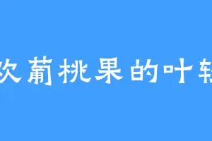 喜欢葡桃果的叶轻眉