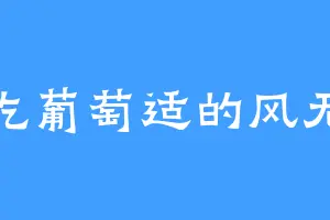 爱吃葡萄适的风无痕