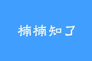 楠楠知了
