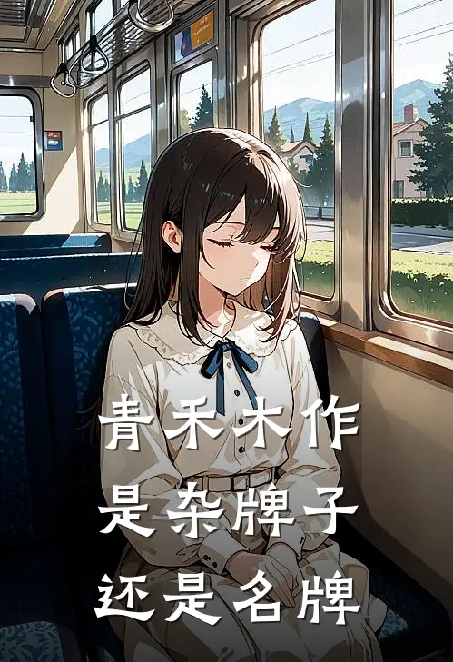 青禾木作是杂牌子还是名牌