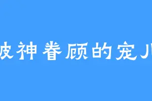 被神眷顾的宠儿