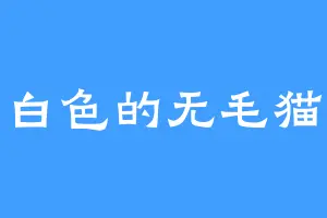 白色的无毛猫