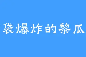 脑袋爆炸的黎瓜子