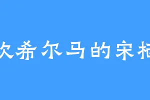 喜欢希尔马的宋栖元