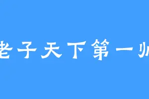 老子天下第一帅