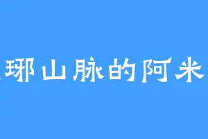 琅琊山脉的阿米猫