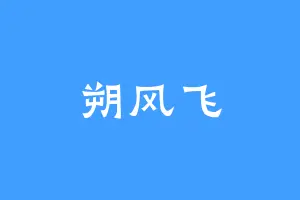朔风飞