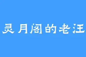 灵月阁的老汪
