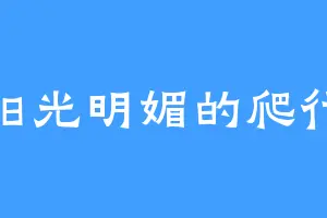 阳光明媚的爬行